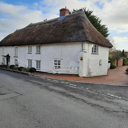 The White Cottage Colyton Exteriér fotografie