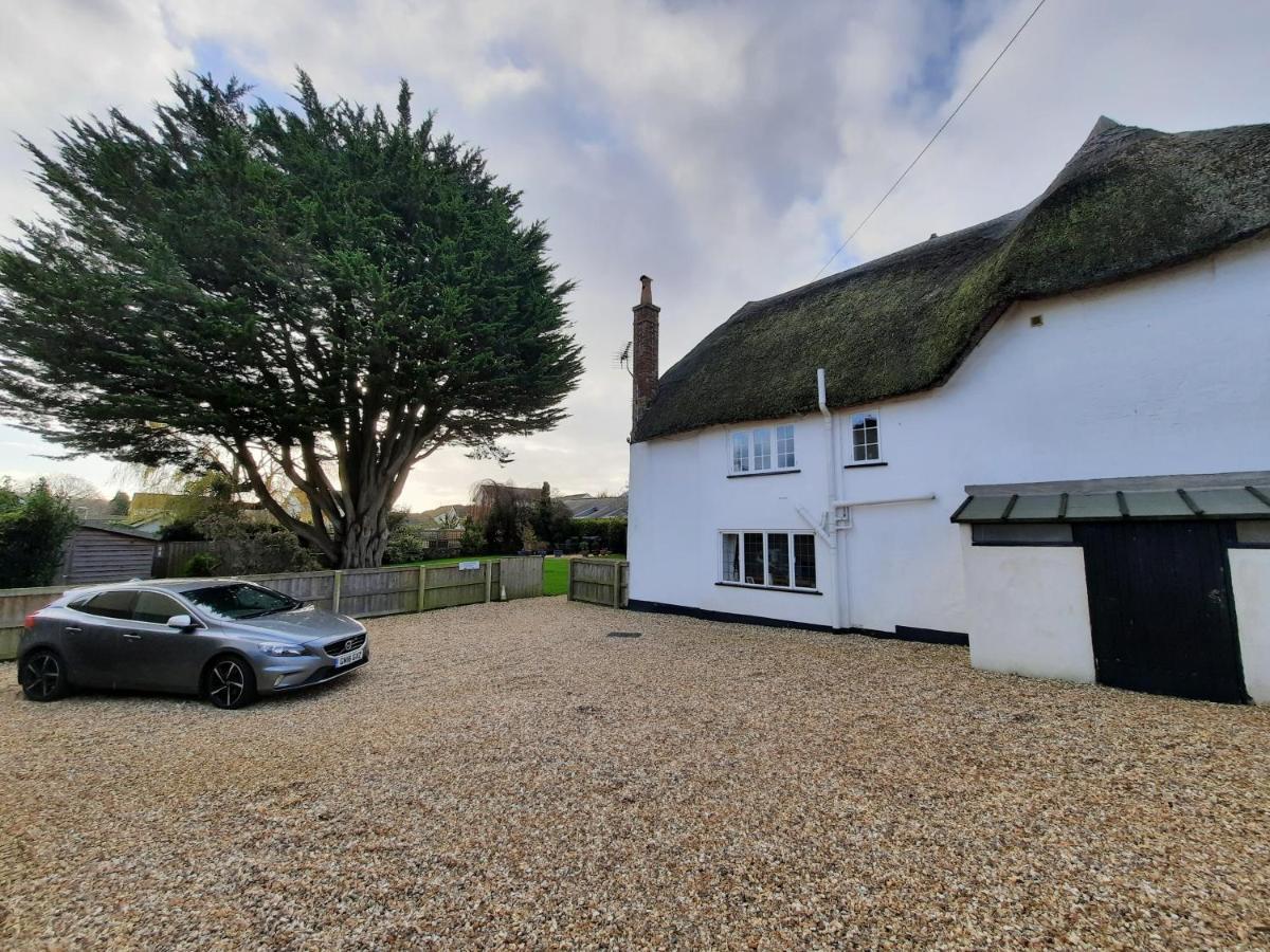 The White Cottage Colyton Exteriér fotografie