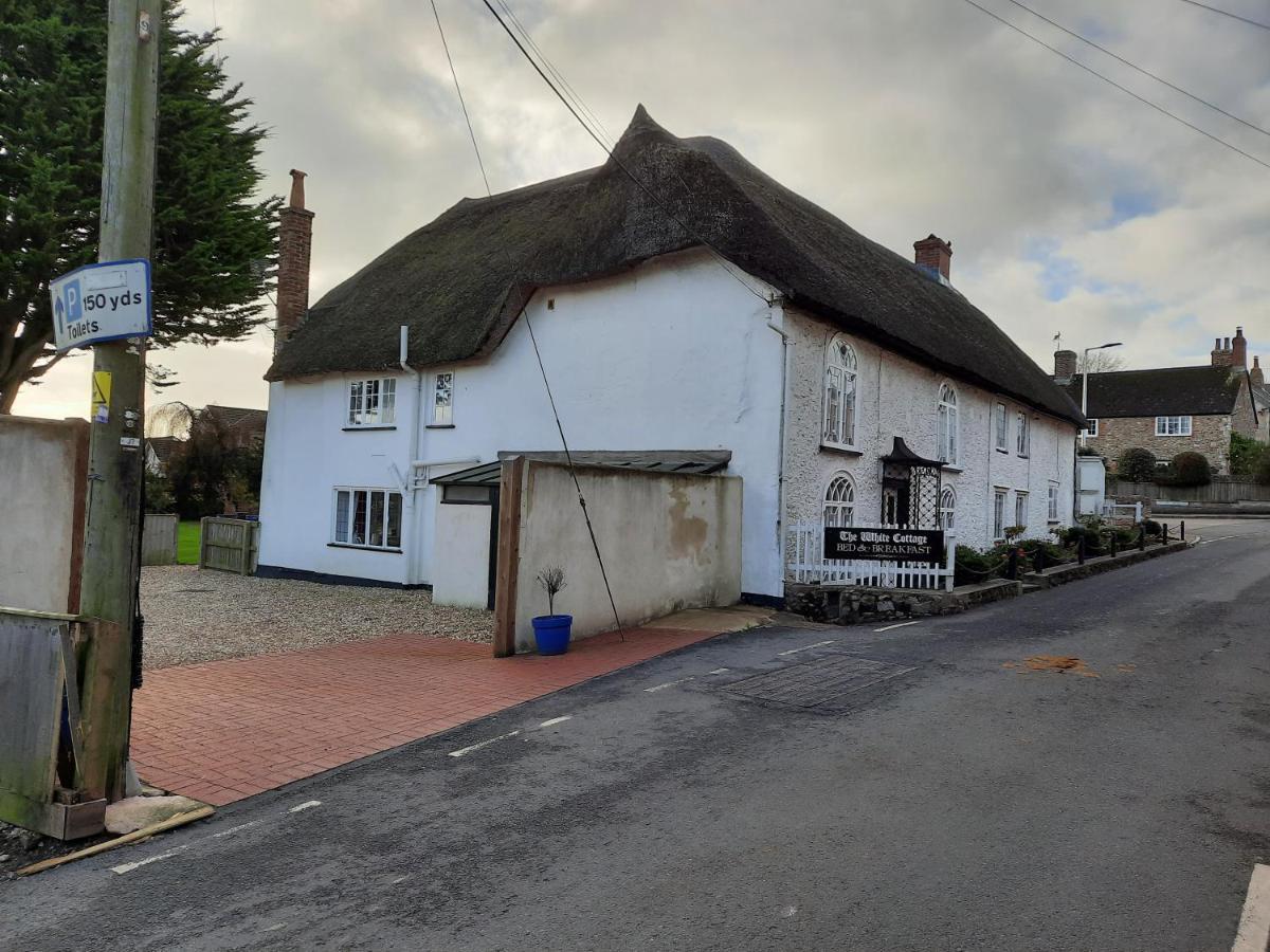 The White Cottage Colyton Exteriér fotografie
